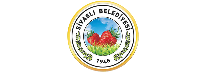 Belediye Web Site Paketi